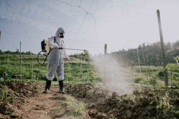 Best Pest Prevention Services  in Vine Hill, CA