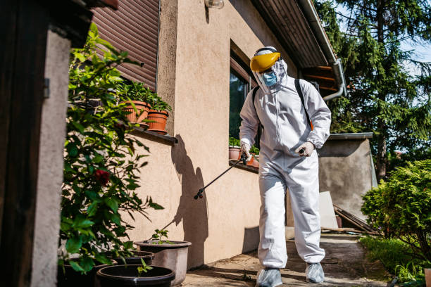 Best Insect Control  in Vine Hill, CA