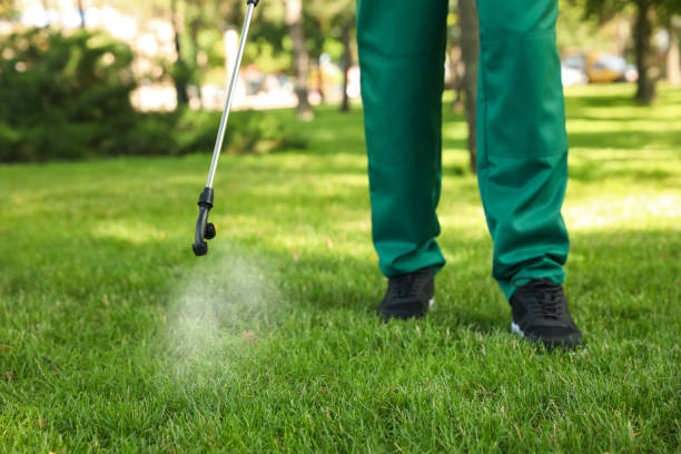 Wasp Removal Services in Vine Hill, CA