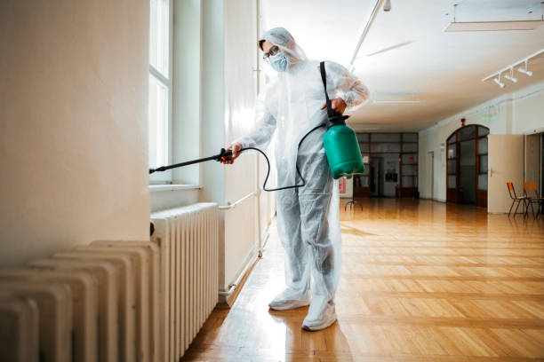 Best Best Pest Control Companies  in Vine Hill, CA