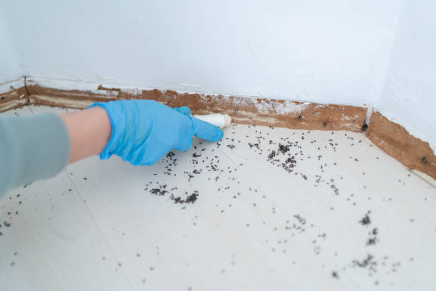 Best Commercial Pest Control Services  in Vine Hill, CA
