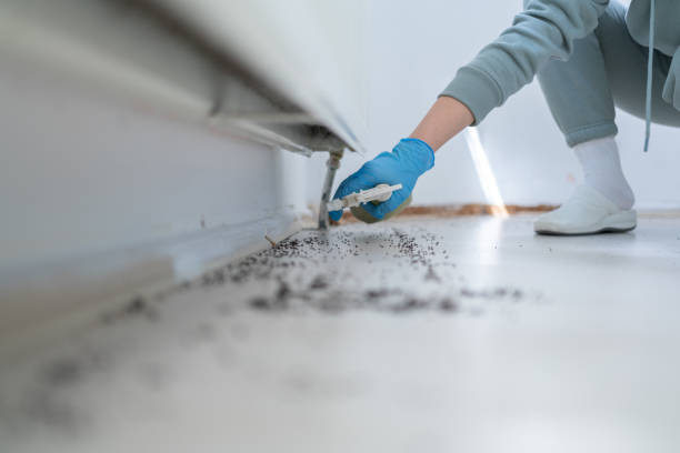 Best Cockroach Control Services  in Vine Hill, CA